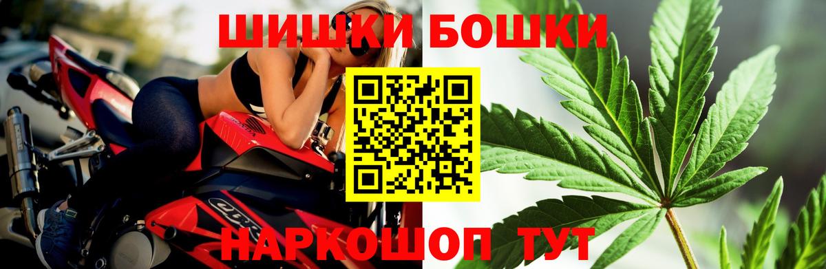 Конопля гибрид  Канабис семена  Заводоуковск  Конопля VHQ  Вход с VPN 